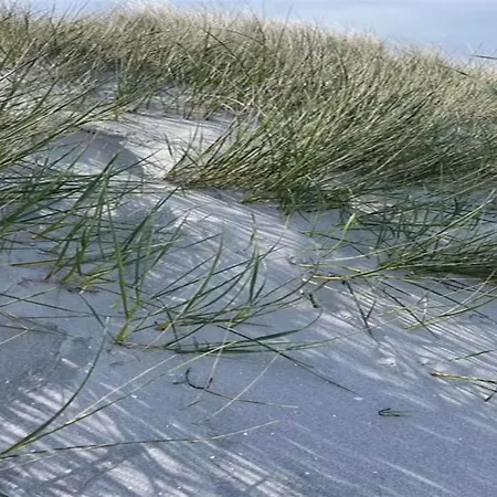 Frederikka - 1-9km From The Sea By Interhome * Hals